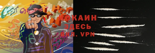 прущие грибы Волосово