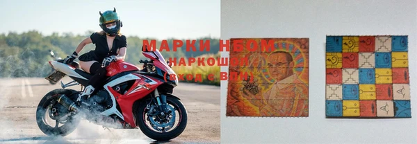 прущие грибы Волосово