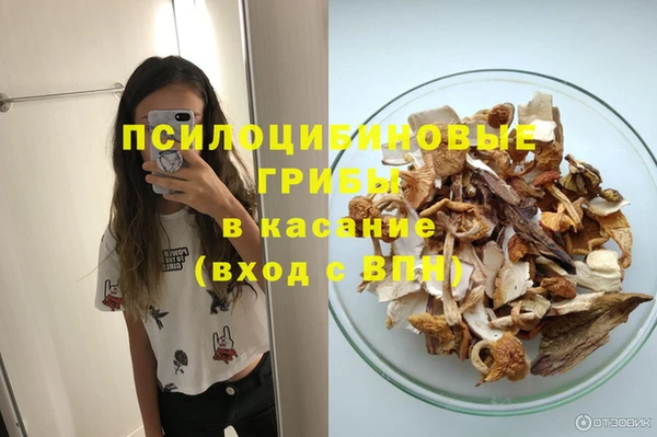 прущие грибы Волосово