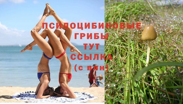 марихуана Волоколамск